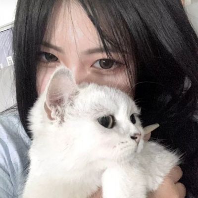 轮回诀公测腾讯版下载