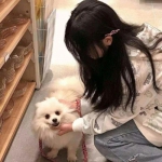 凡仙小米客户端下载